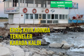 ekoloji post (YouTube Başlığı) (Instagram Gönderisi (Kare)) (3)