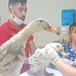 image-2023-08-23-132018-e1692786036435