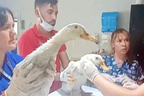 image-2023-08-23-132018-e1692786036435