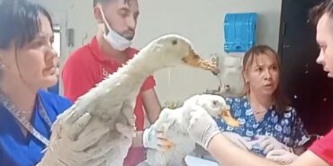 image-2023-08-23-132018-e1692786036435