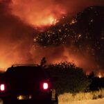 orman-yangini-2-990x556