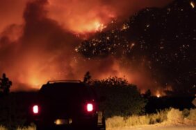 orman-yangini-2-990x556