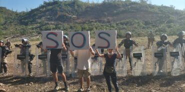 whatsapp-image-2023-08-01-at-085431