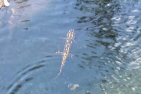 009_2023_004_2023_03_Eylül_12_20230928_2_60456052_93165042