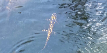 009_2023_004_2023_03_Eylül_12_20230928_2_60456052_93165042