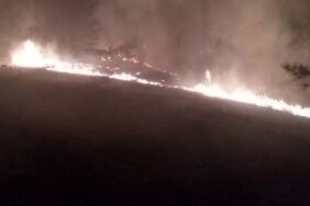 690x390cc-mgl-02-09-2023-koycegiz-yangin