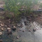 690x390cc-mgl-27-09-2023-gundogan-aritma-tesisi-ekolojist-nihat-koyuncu-rop1