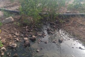 690x390cc-mgl-27-09-2023-gundogan-aritma-tesisi-ekolojist-nihat-koyuncu-rop1