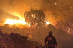 690x390cc-mlt-20-09-2023-meleti-orman-yangini