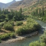 690x390cc-srnk-02-09-2023-cenazeye-wan-hat-ditin1