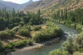 690x390cc-srnk-02-09-2023-cenazeye-wan-hat-ditin1