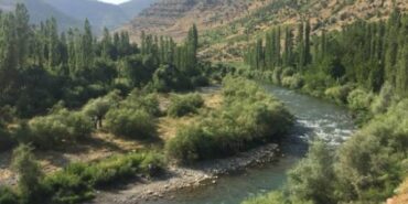 690x390cc-srnk-02-09-2023-cenazeye-wan-hat-ditin1