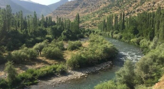 Habur Çayı’na giren 2 kuzen yaşamını yitirdi