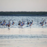 Ekran görüntüsü 2023-09-06 131419