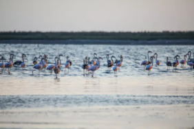 Ekran görüntüsü 2023-09-06 131419