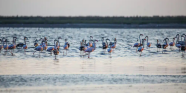 Ekran görüntüsü 2023-09-06 131419