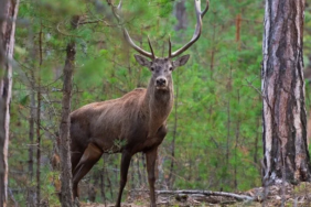 Ekran görüntüsü 2023-09-13 101705