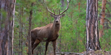 Ekran görüntüsü 2023-09-13 101705