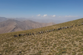 Ekran görüntüsü 2023-09-19 103303