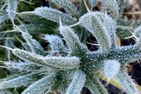 Ekran görüntüsü 2023-09-20 100657