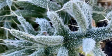 Ekran görüntüsü 2023-09-20 100657