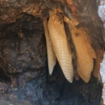 Ekran görüntüsü 2023-09-26 102828