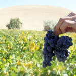 Ekran görüntüsü 2023-09-29 103929