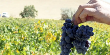 Ekran görüntüsü 2023-09-29 103929