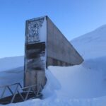 Svalbard-Kuresel-Tohum-Deposu-990x556
