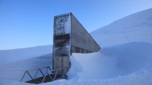 Svalbard-Kuresel-Tohum-Deposu-990x556