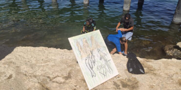 Van-Golune-dalis-yapip-su-altinda-resim-cizdis