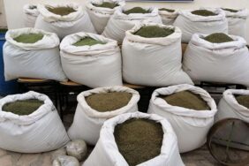 diyarbakir-da-son-10-gunde-674-kilogram-uyusturucu-madde-ele-gecirildi1662540482