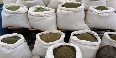 diyarbakir-da-son-10-gunde-674-kilogram-uyusturucu-madde-ele-gecirildi1662540482