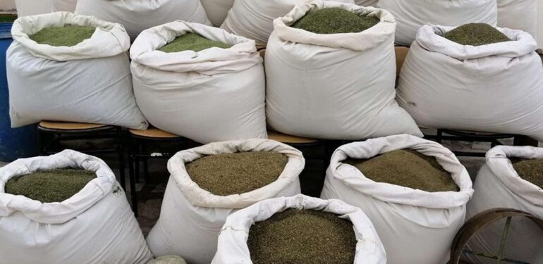 diyarbakir-da-son-10-gunde-674-kilogram-uyusturucu-madde-ele-gecirildi1662540482