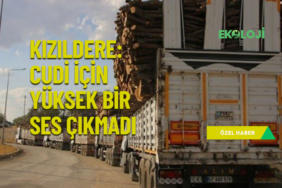 ekoloji post (YouTube Başlığı) (2)