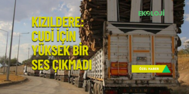 ekoloji post (YouTube Başlığı) (2)