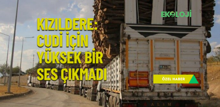 Kızıldere: Cudi için yüksek bir ses çıkmadı