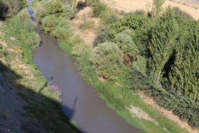 nerdus-deresi-990x556