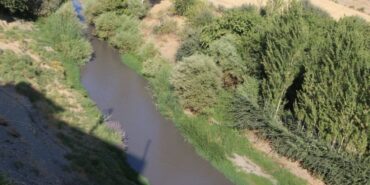 nerdus-deresi-990x556