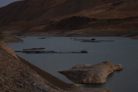 whatsapp-image-2023-09-27-at-6-lqhh