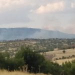 690x390cc-amd-17-10-2023-lice-yangini1