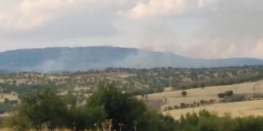 690x390cc-amd-17-10-2023-lice-yangini1