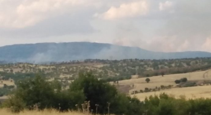 Lice’de çıkan yangın kendiliğinden söndü