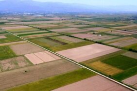 690x390cc-aydn-02-10-2023-aydinda-bir-gunde-4-ced-karari