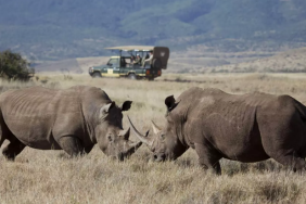 Ekran görüntüsü 2023-10-09 200806