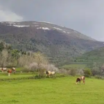 Ekran görüntüsü 2023-10-11 211926