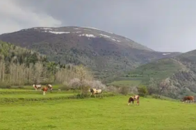 Ekran görüntüsü 2023-10-11 211926