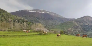 Ekran görüntüsü 2023-10-11 211926