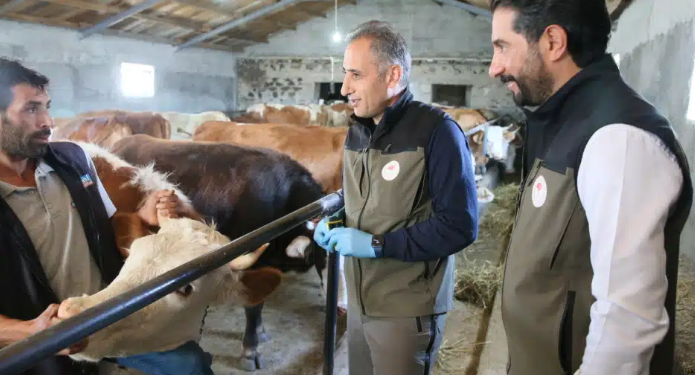 Kars’ta kayıtsız hayvanlara küpe takılıp şap aşısı yapılıyor