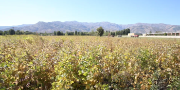 Ekran görüntüsü 2023-10-14 214705